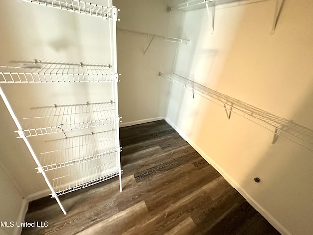 spacious closet featuring dark wood-type flooring