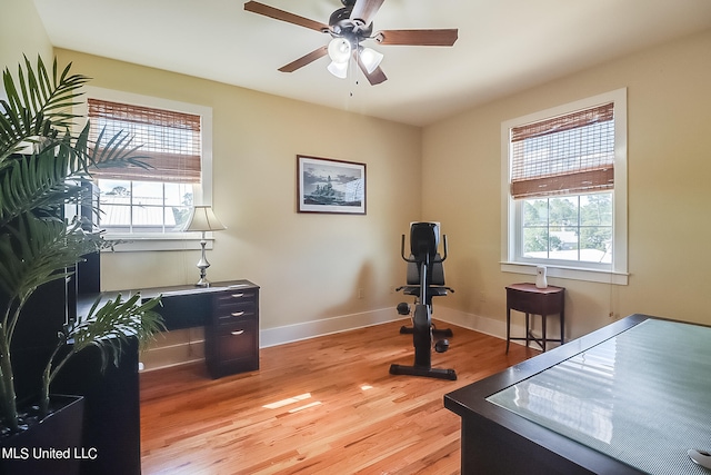 home office featuring ceiling fan, plenty of natural light, and light wood-type flooring