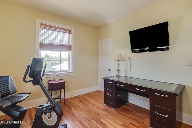 office space featuring light hardwood / wood-style floors