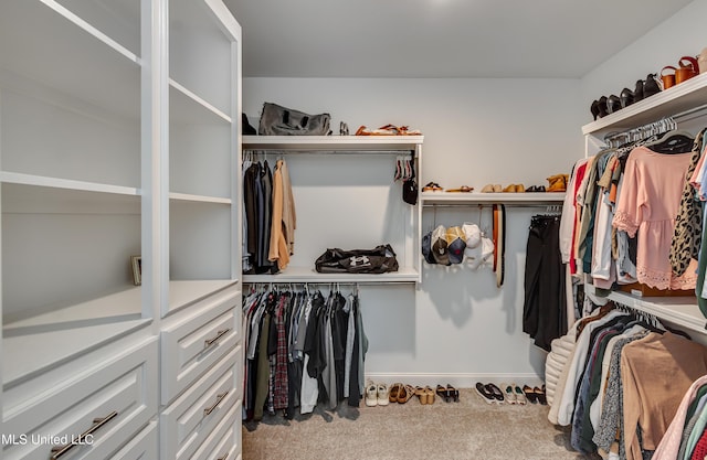 walk in closet featuring light carpet