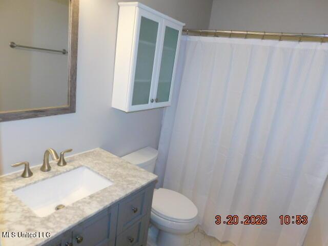 165 Christian College Rd, Senatobia, MS 38668 - bathroom with vanity, toilet, and a shower with curtain