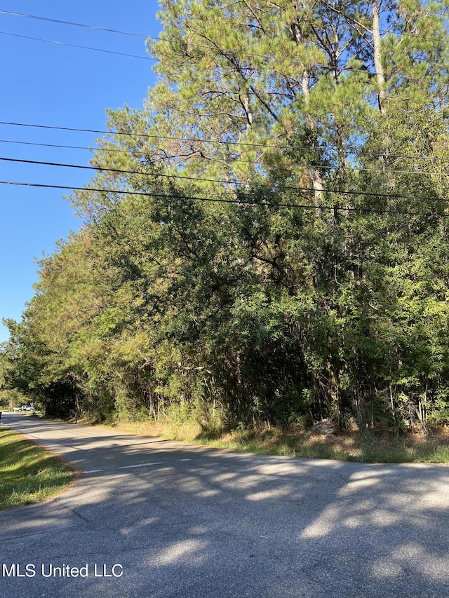 Elm St, Picayune MS, 39466 land for sale