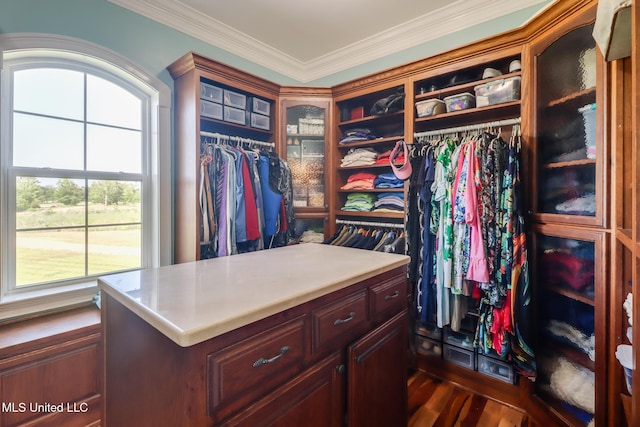 13129 Jordan Bluff Rd, Kiln, MS 39556 - walk in closet featuring dark wood finished floors