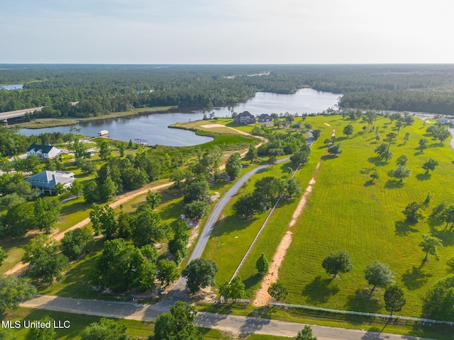 13129 Jordan Bluff Rd, Kiln, MS 39556 - bird's eye view of a nearby body of water and a heavily wooded area