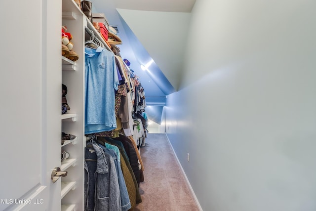 13129 Jordan Bluff Rd, Kiln, MS 39556 - spacious closet with carpet flooring