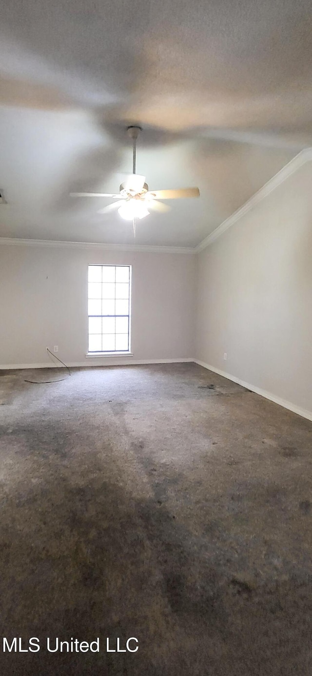 spare room featuring carpet and ornamental molding