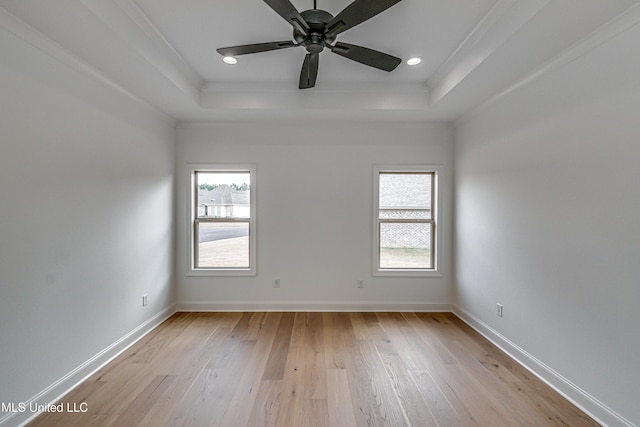 spare room featuring light wood-type flooring, a raised ceiling, and a wealth of natural light