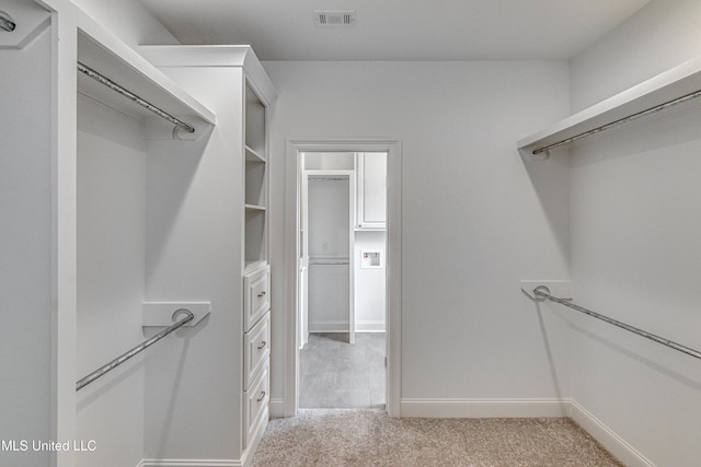 view of spacious closet