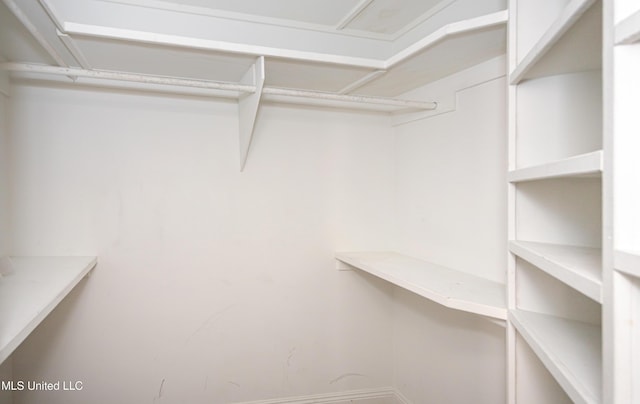 view of spacious closet