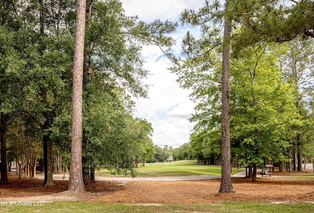 view of home's community with a yard