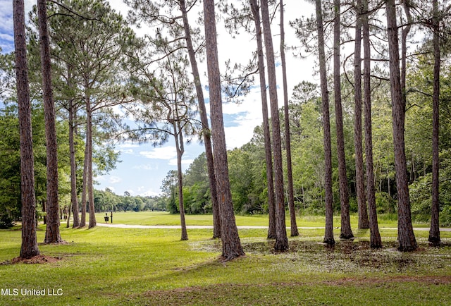 view of grassy yard with view of scattered trees