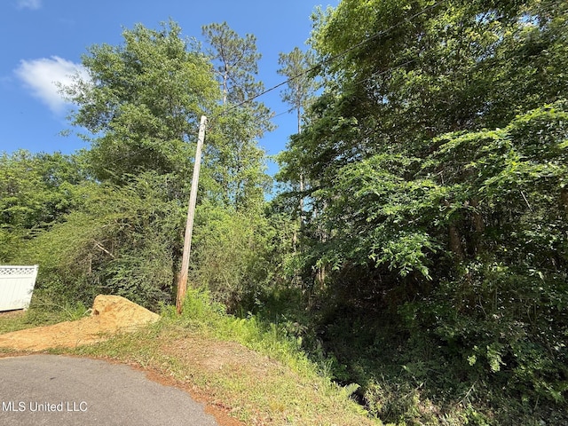 990 Polo Ct, Diamondhead MS, 39525 land for sale