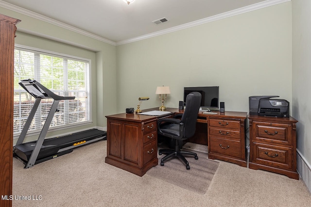 office space featuring ornamental molding and light colored carpet