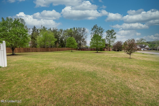 view of yard