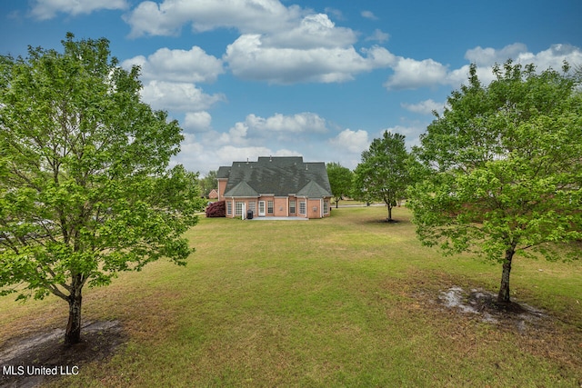 view of yard featuring a patio