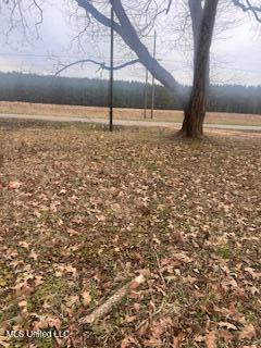 5685 Carrollton Rd, Grenada, MS 38901 - view of yard with a rural view