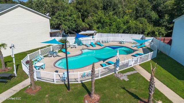 view of pool featuring a patio area and a lawn