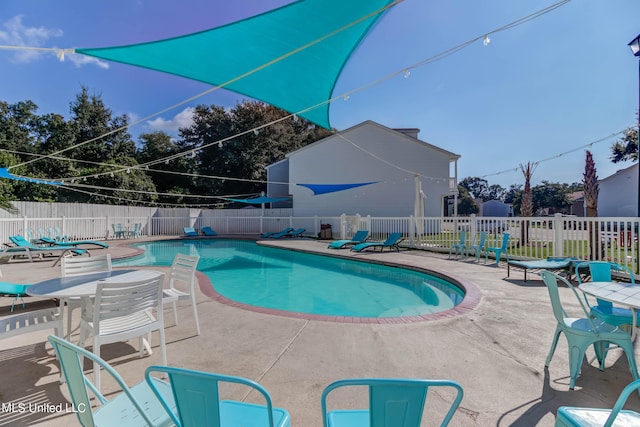 view of pool with a patio area