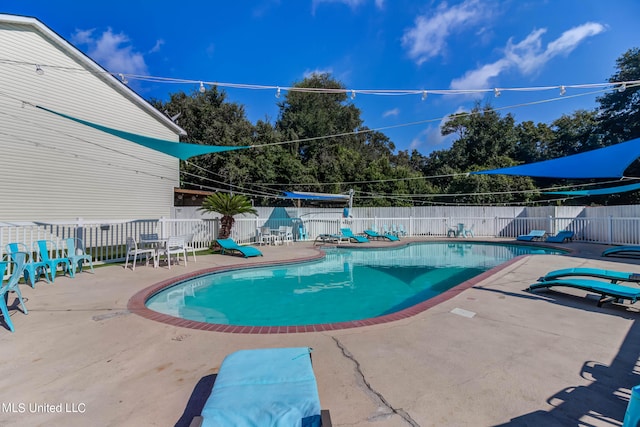 view of pool with a patio area