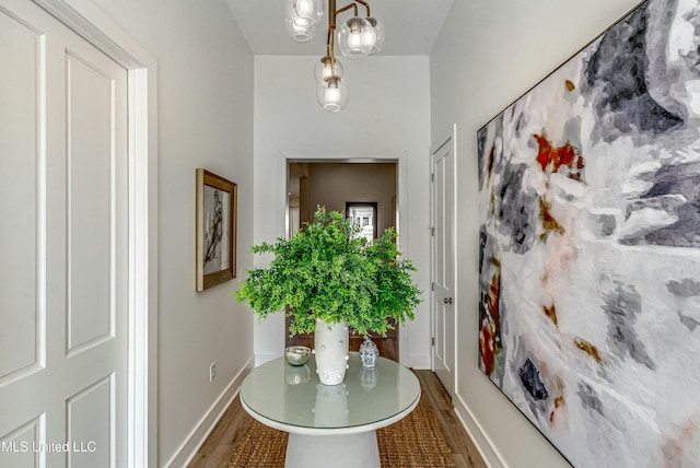 entryway featuring hardwood / wood-style floors