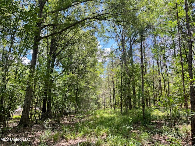 Chasewood Drice, Jackson, MS 39212