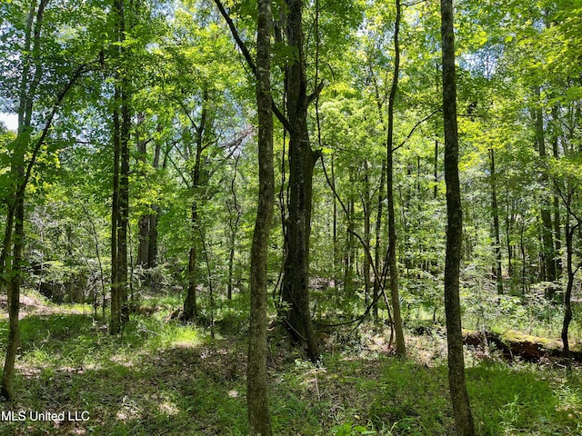 Chasewood Drice, Jackson, MS 39212