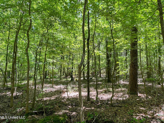 Chasewood Drice, Jackson, MS 39212