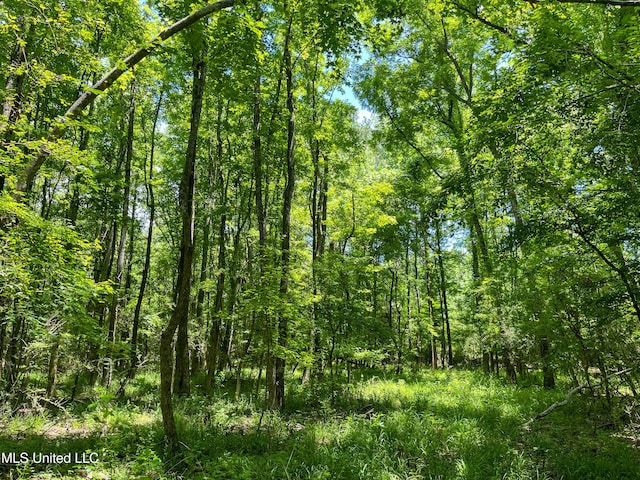 Chasewood Drice, Jackson, MS 39212