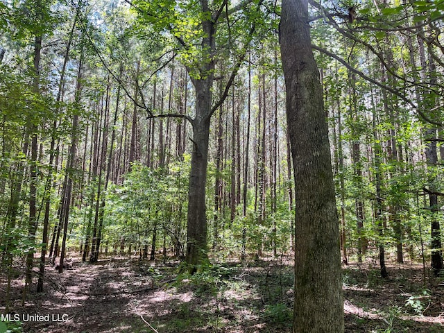 Chasewood Drice, Jackson, MS 39212