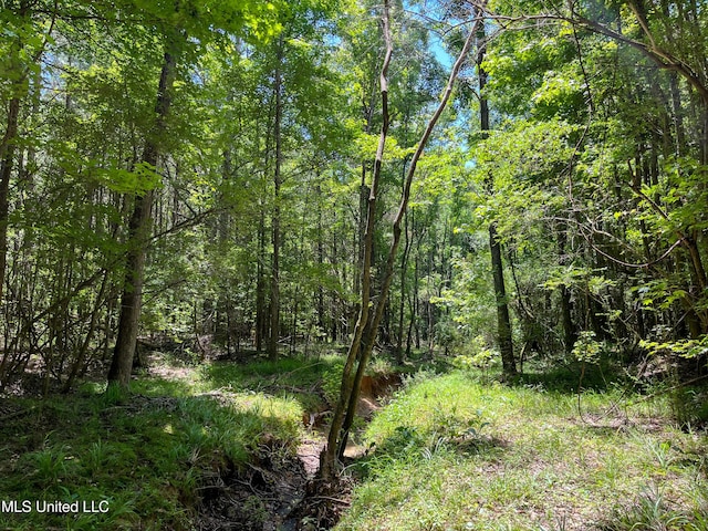 Chasewood Drice, Jackson, MS 39212