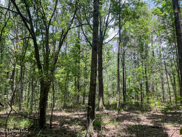 Chasewood Drice, Jackson, MS 39212