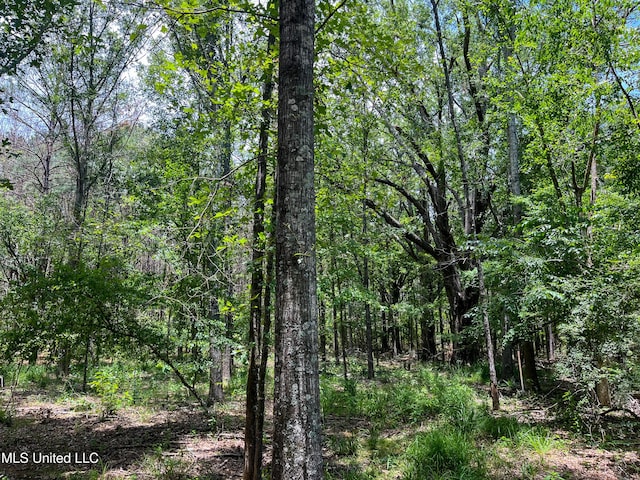 Chasewood Drice, Jackson, MS 39212