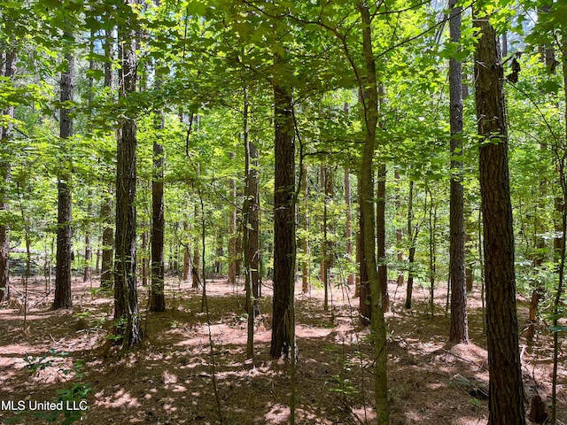 Chasewood Drice, Jackson, MS 39212