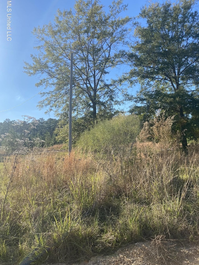 12 Willie Mae Pitts Rd, Richton, MS 39476