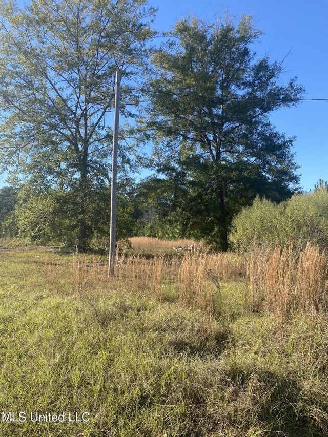 12 Willie Mae Pitts Rd, Richton, MS 39476