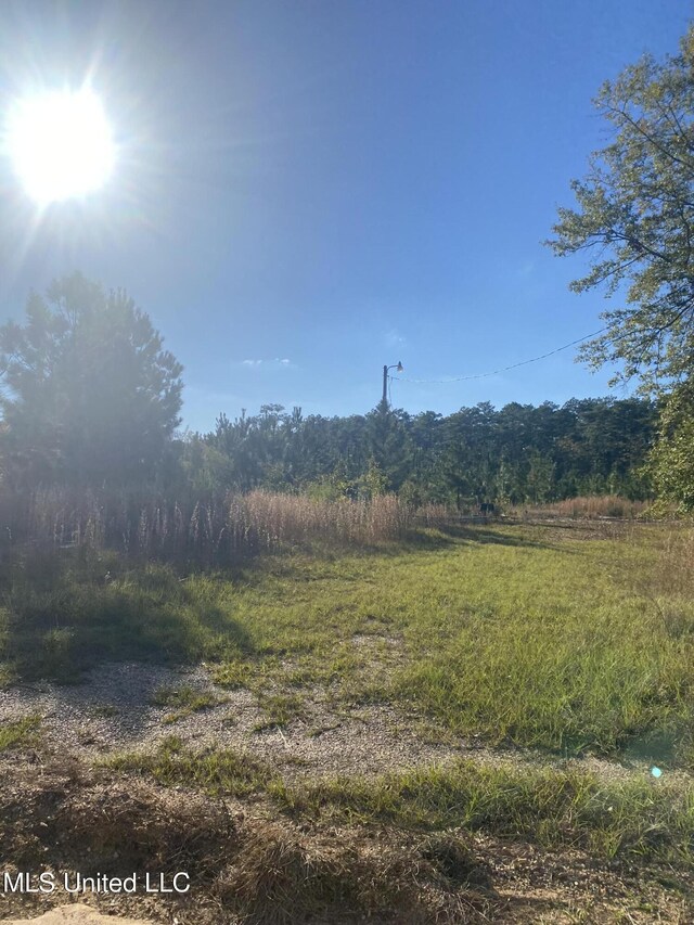 12 Willie Mae Pitts Rd, Richton, MS 39476