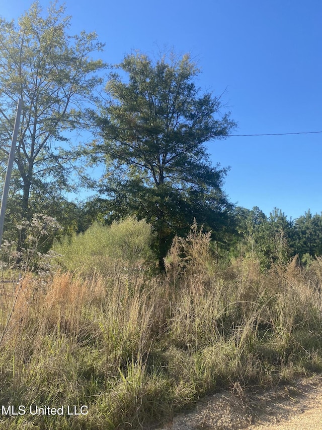 12 Willie Mae Pitts Rd, Richton, MS 39476