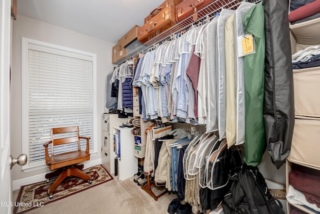 spacious closet with carpet floors