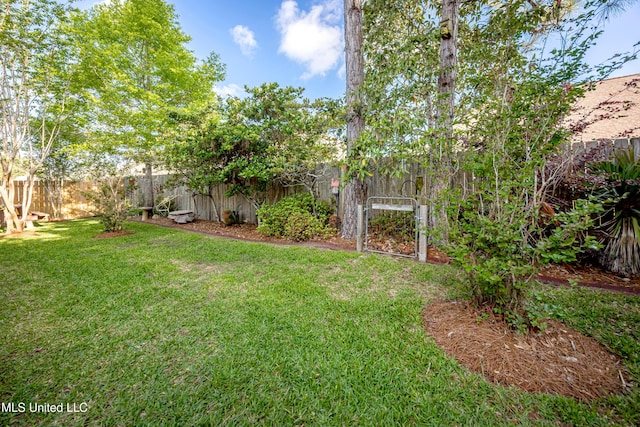 view of yard with a fenced backyard