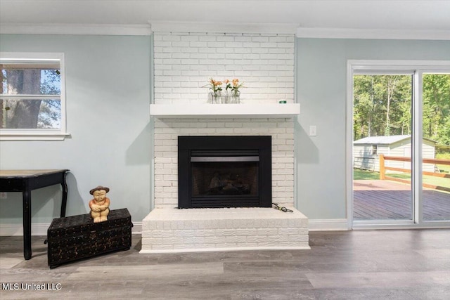 room details featuring ornamental molding, wood-type flooring, and a fireplace