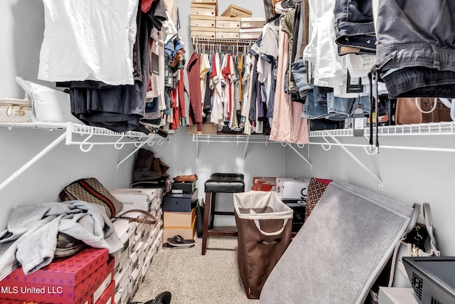 walk in closet with carpet flooring