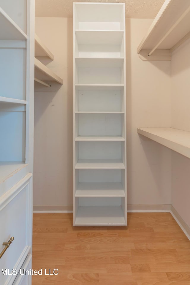 spacious closet with wood-type flooring