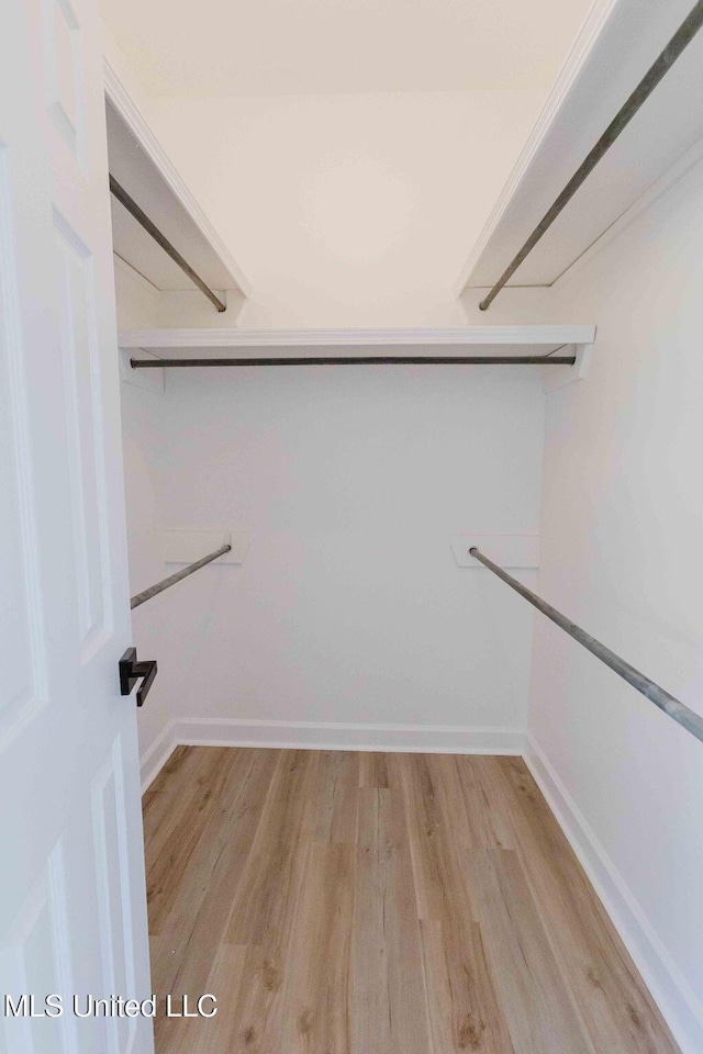 walk in closet featuring light wood finished floors