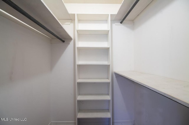 view of spacious closet