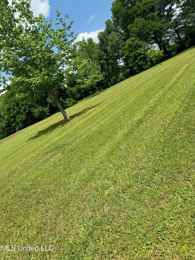 view of grassy yard