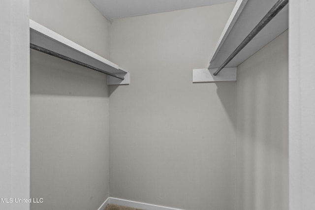 view of walk in closet