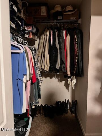 9091 Hunters Ridge Dr, Olive Branch, MS 38654 - walk in closet featuring carpet