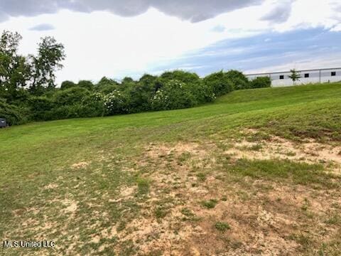 9091 Hunters Ridge Dr, Olive Branch, MS 38654 - view of green lawn
