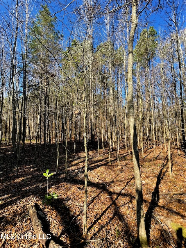 Davis Rd, Byram MS, 39212 land for sale