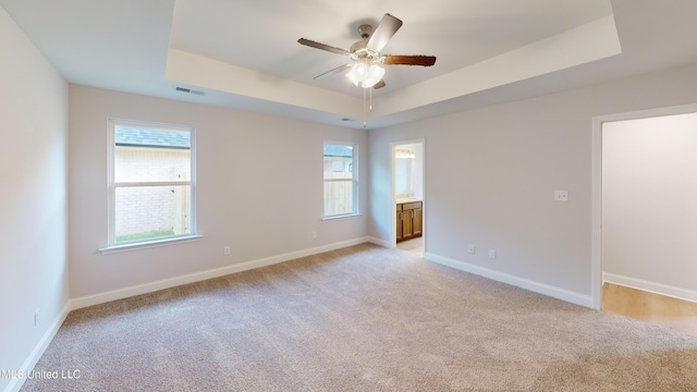 unfurnished room with a raised ceiling, a wealth of natural light, and light carpet